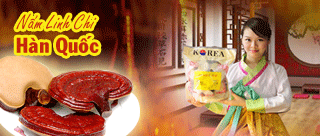 nam-linh-chi-phuong-hoang-do-vang-hang-xach-tay-korea-