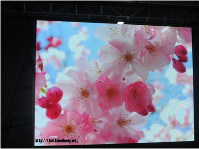 Màn hình LED P1.5 Indoor Full Color