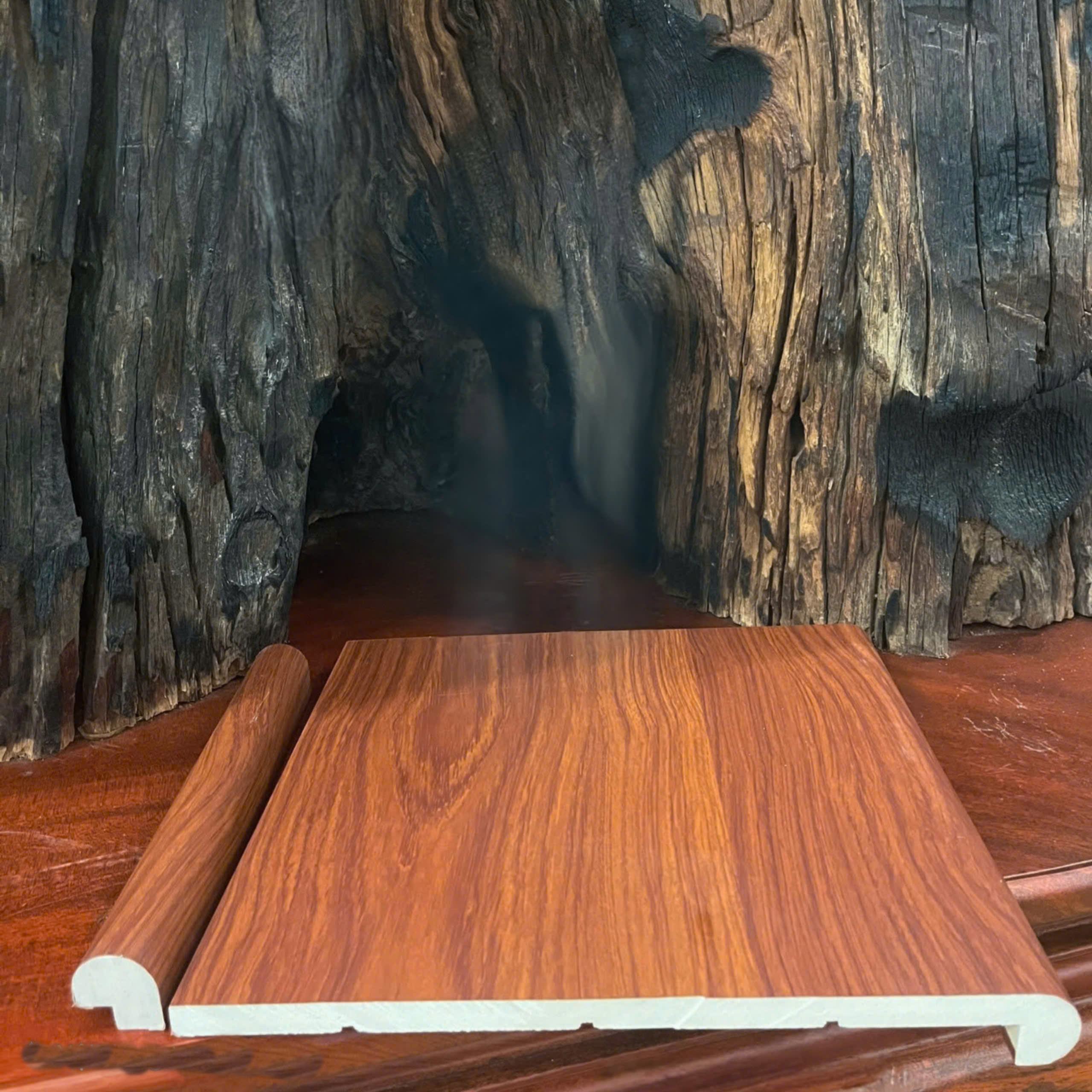 Bậc cầu thang nhựa giả gỗ EW-STAIR-DN