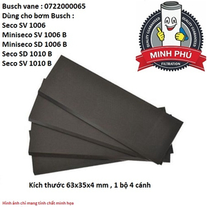 CÁNH GẠT BƠM BUSCH 0722000065