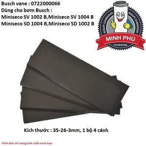 CÁNH GẠT BƠM BUSCH 0722000066