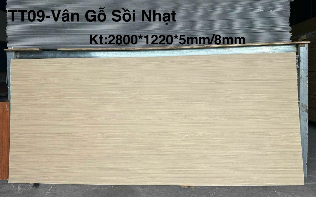 Tấm ốp sợi than tre ANP TOPOL