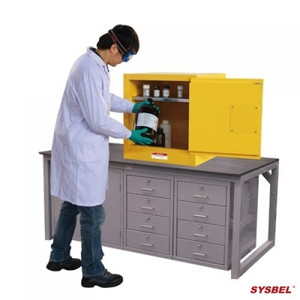 TỦ ĐỰNG HÓA CHẤT CHỐNG CHÁY NỔ - SYSBELL - WA810100 - 10Gallon/38L