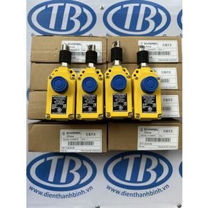 Công tắc an toàn ZS7122/1S VD