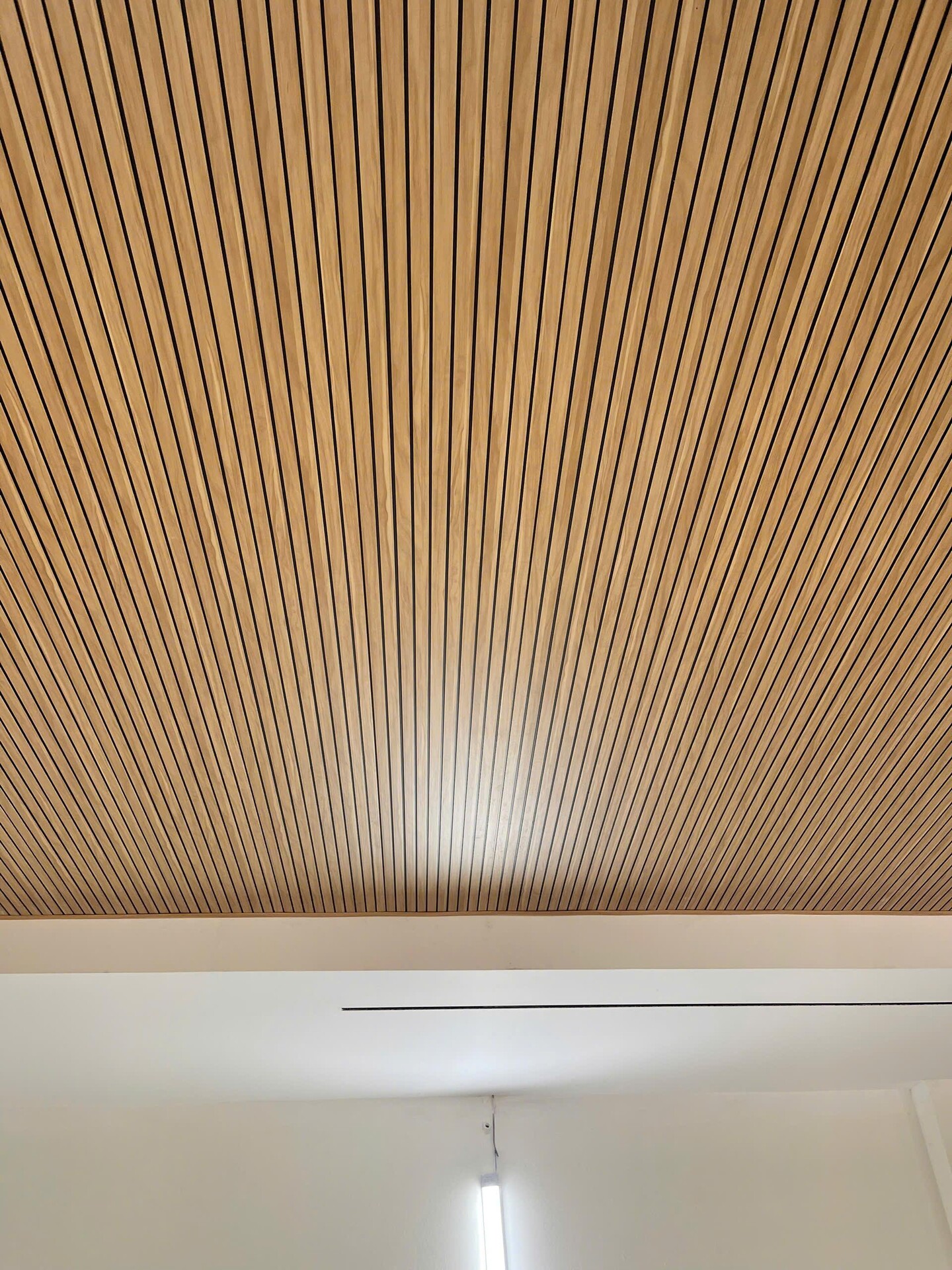 Tấm ốp nano lam 10 sóng EW STAR