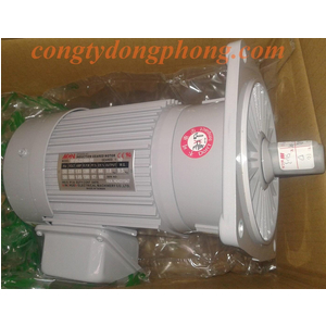 Motor giảm tốc MCN 1/2hp 1/10 bích