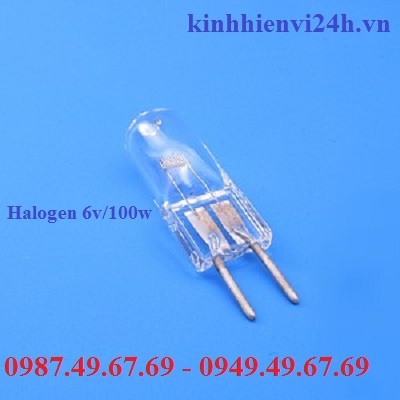 Bóng đèn Halogen 6v/100w cho kính hiển vi