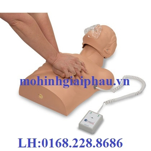 MÔ HÌNH HỒI SỨC TIM PHỔI CPR 100-2160U NASCO- MỸ