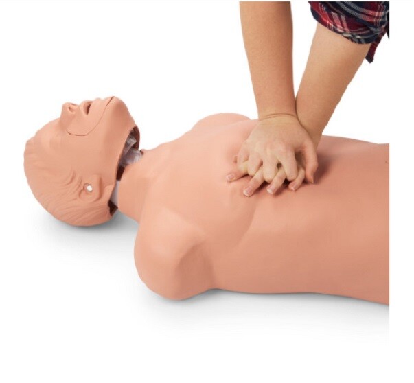 Mô hình hồi sức cấp cứu bán thân Model 100-2801