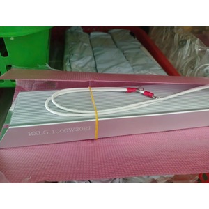 Điện Trở Xả Nhôm 1000w-30RJ
