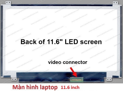 thay màn hình laptop dell 11 3148 11.6 led slim