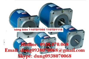 Motor sàng biên , canh biên 110TDY060-110TDY115
