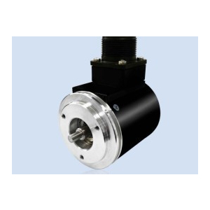 đại lý phân phối ITALSENSOR vietnam, ITALSENSOR TS583AHS