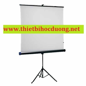 Sửa màn chiếu tận nơi