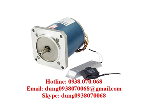 Động cơ sàng biền 130TDY060-130TDY4-130TDY115