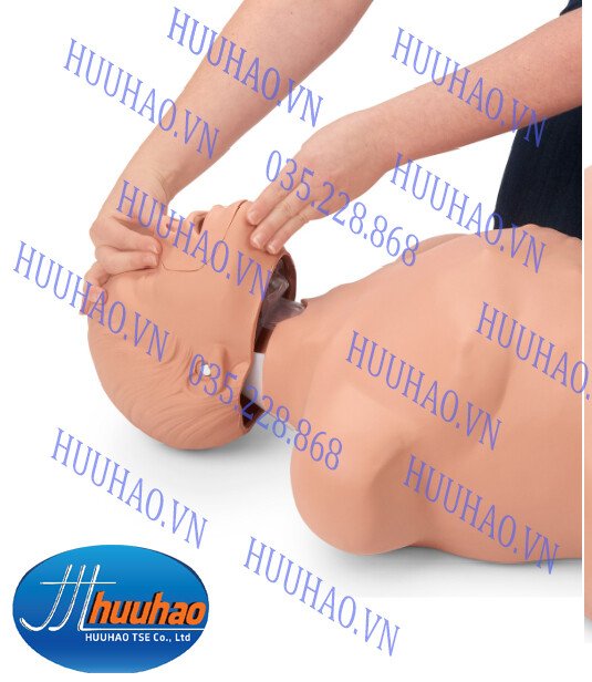 Mô hình sơ cấp cứu bán thân loại cơ bản