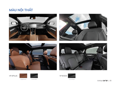VinFast VF8 Eco