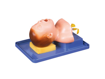 Mô hình đặt nội khí quản cho trẻ sơ sinh