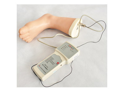 Mô hình giải phẫu của bàn chân và khớp cổ chân