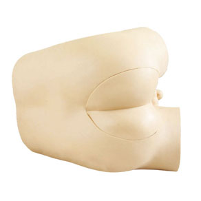 Mô hình kiểm tra cảm ứng trực tràng nâng cao