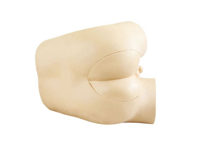 Mô hình kiểm tra cảm ứng trực tràng nâng cao