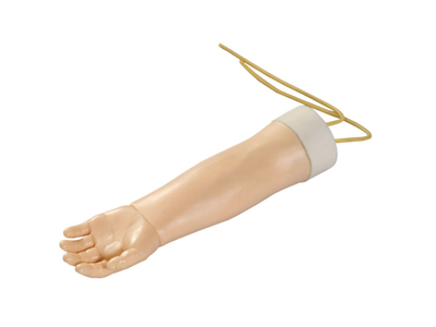 Mô hình mô phỏng tĩnh mạch tay ở trẻ em