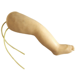 Mô hình chi dưới trẻ sơ sinh