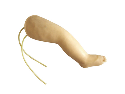 Mô hình chi dưới trẻ sơ sinh