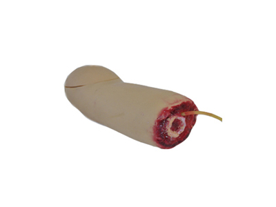 Mô hình cắt cụt chi xuất huyết cánh tay