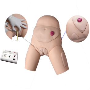 Mô hình đặt ống thông điện tử