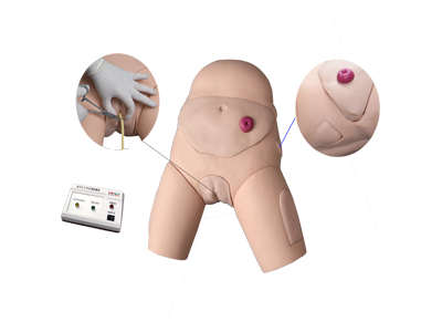 Mô hình đặt ống thông điện tử