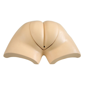 Mô hình mô phỏng phân tử nhân tạo có thể đeo