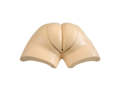 Mô hình mô phỏng phân tử nhân tạo có thể đeo