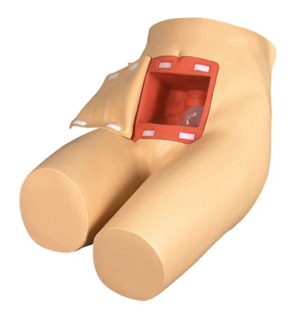 Mô hình thụt rửa ruột