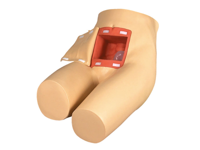 Mô hình thụt rửa ruột