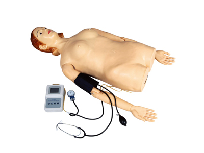 Mô hình đo nhịp tim và đo huyết áp