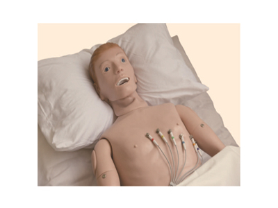 Mô hình mô phỏng điện tâm đồ