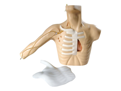 Mô hình đặt đường truyền tĩnh mạch trung tâm từ ngoại biên