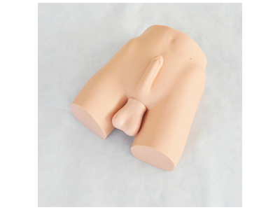 Mô hình thắt ống dẫn tinh