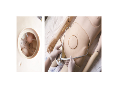 Mô hình mô phỏng đo lường xương chậu