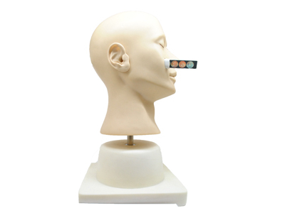 Mô hình mô phỏng chẩn đoán tai nâng cao