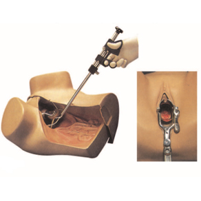 Mô hình mô phỏng khám phụ khoa nâng cao