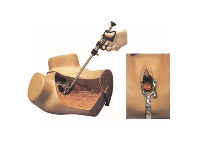 Mô hình mô phỏng khám phụ khoa nâng cao