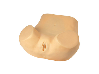 Mô hình mô phỏng khám phụ khoa