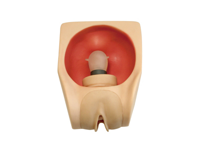 Mô hình mô phỏng cách tránh thai cho nữ giới