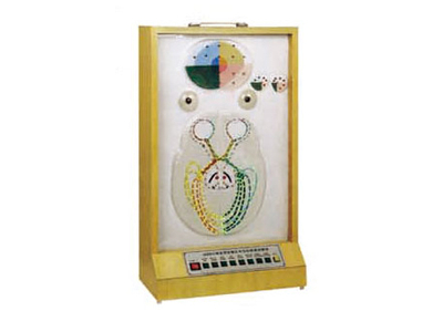 Mô hình điện tử phản ứng ánh sáng đồng tử