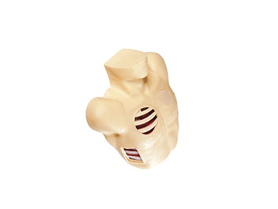 Mô hình mô phỏng dẫn lưu màng phổi