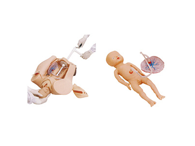 Mô hình mô phỏng cơ chế sinh đẻ nâng cao