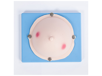 Mô hình kiểm tra áp xe tuyến vú