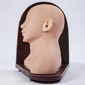 Mô hình khám tai nâng cao (25 Thương tổn)